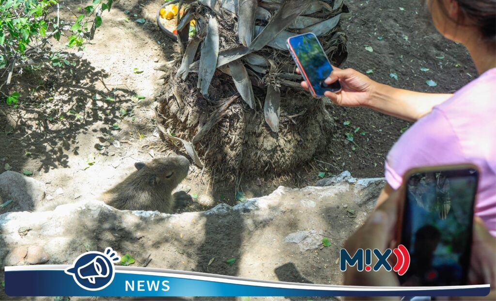 El Parque Hidalgo es un oasis en el corazón de Aguascalientes