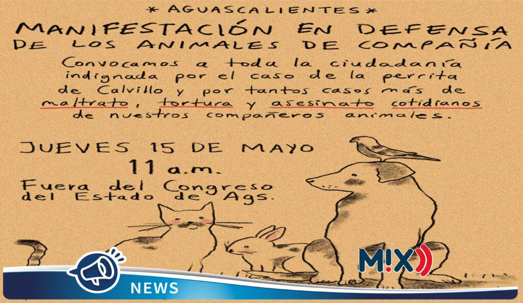 Se reunirán en Congreso de Aguascalientes en demanda de penas justas por maltrato animal