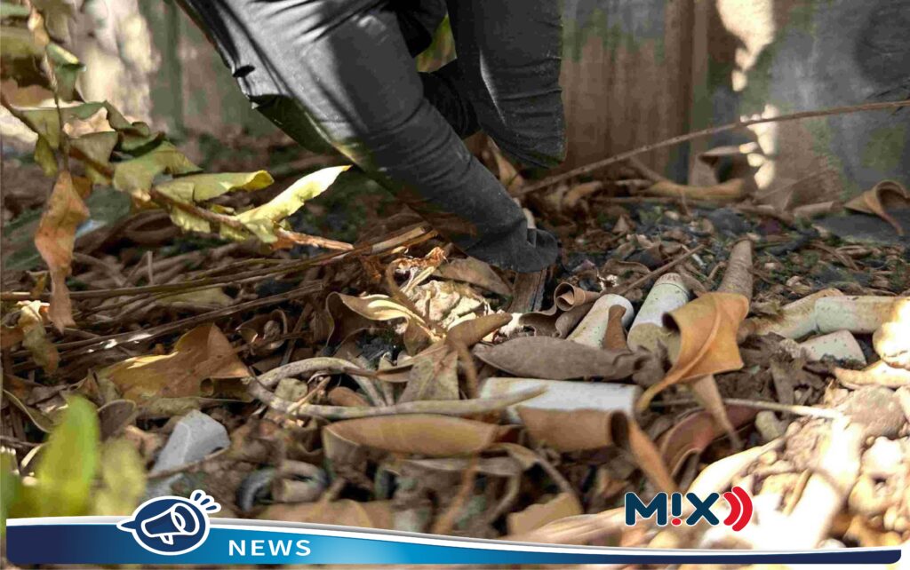 Este viernes MIAA invita a conmemorar el Día Mundial sin Tabaco, con “Colillatón”
