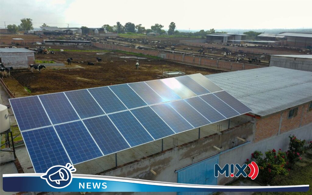 Lecheros y productores acuícolas podrán obtener paneles solares con apoyo del Gobierno Estatal