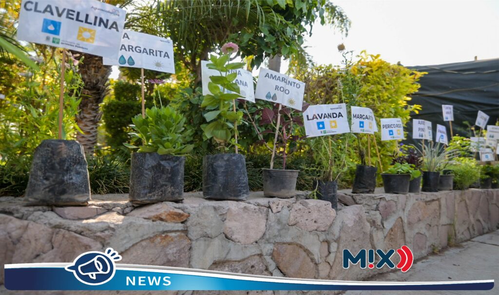 Exitoso arranque de entrega de plantas ornamentales y árboles en vivero municipal