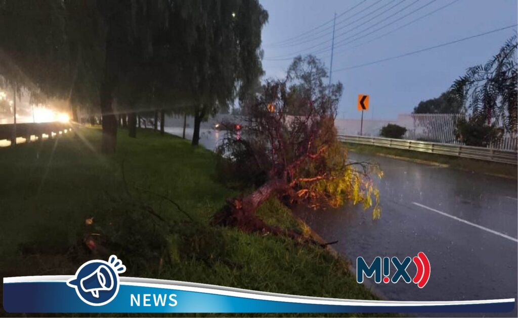 Protección Civil capitalina atendió más de 30 reportes por lluvias del domingo