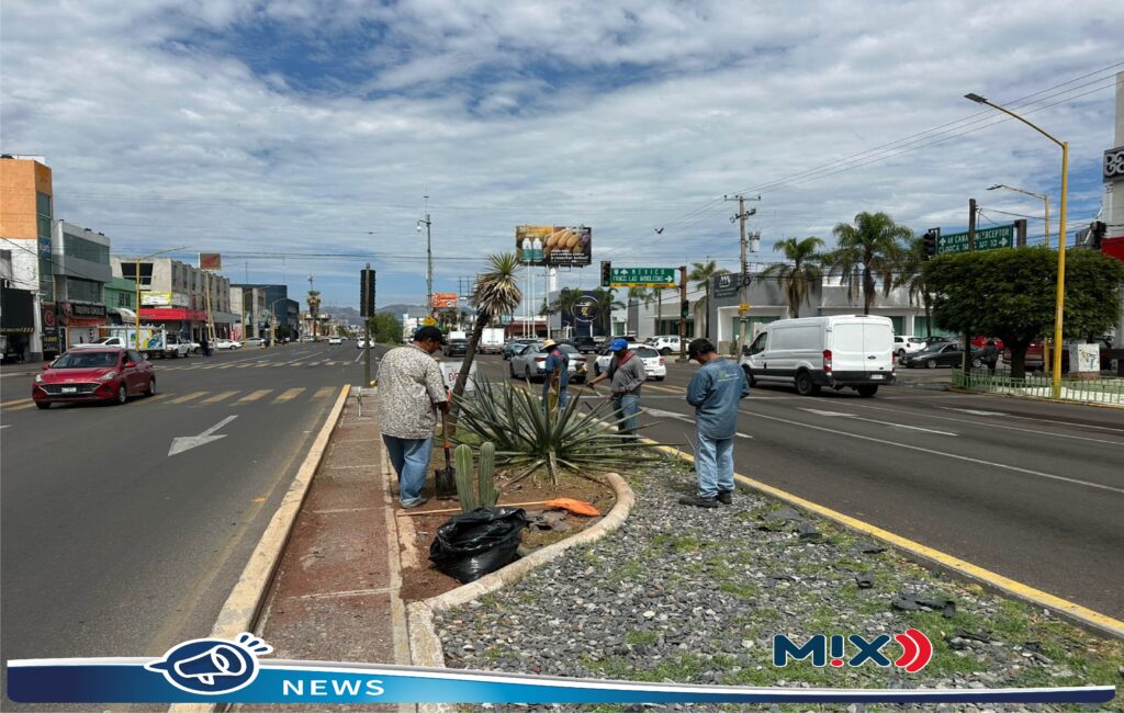 Intensifican mantenimiento y restauración urbana en la avenida de la Convención de 1914