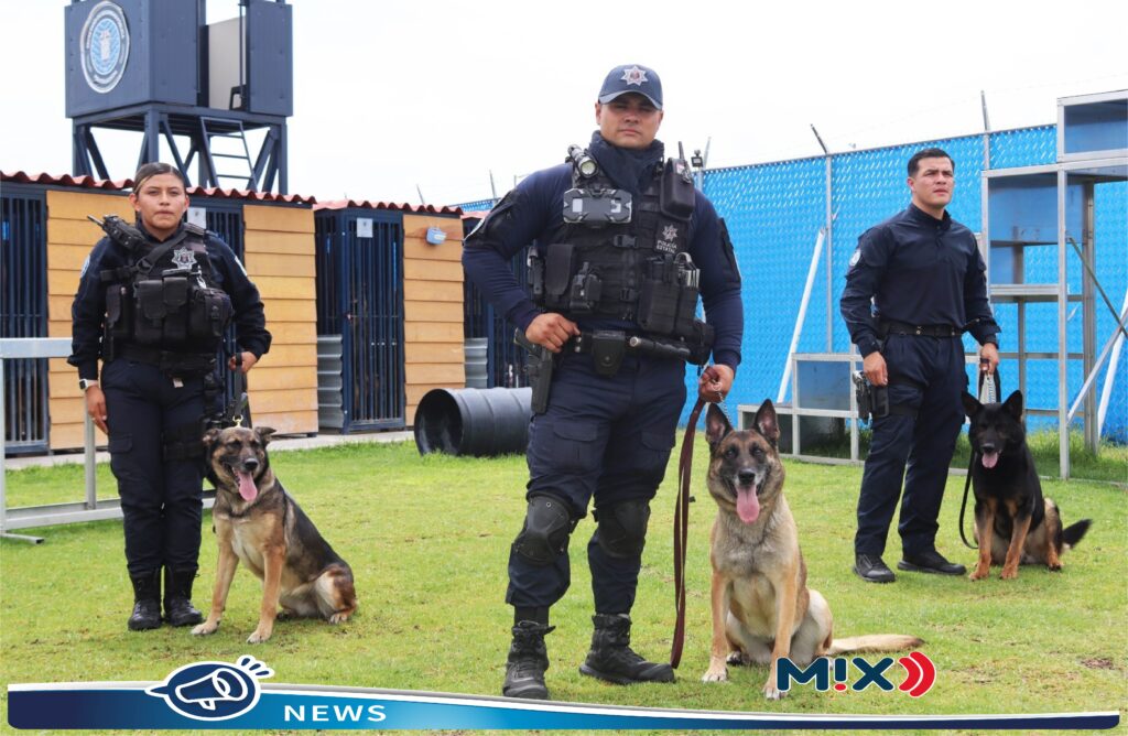 La preparación de la Unidad K9 de la SSPE, es reconocida por la Embajada de EEUU