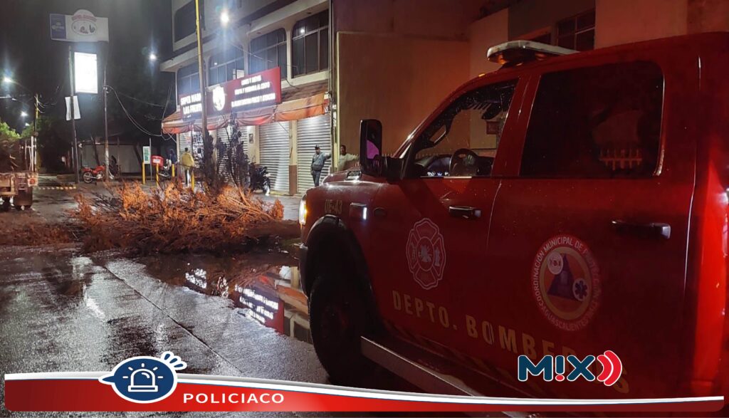 25 reportes atendió Protección Civil Municipal por lluvias la madrugada del miércoles