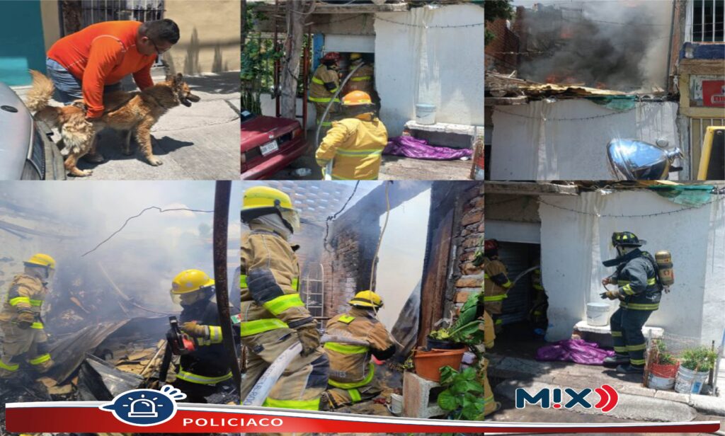 Bomberos sofocan incendio en vivienda, salvaron un ‘lomito' en Ojocaliente lll