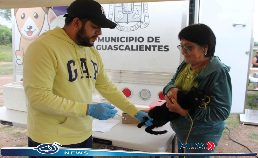 Dueños de lomitos y michis, este 21 de junio llega el Quirófano Móvil al Parque de la Barranca
