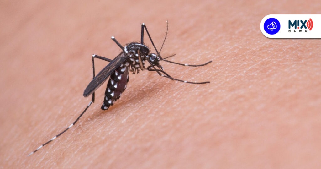 En alerta Aguascalientes por dengue