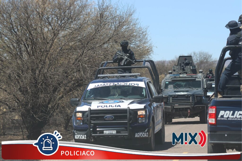 Vigilancia constante en límites de Aguascalientes por los 3 niveles de gobierno: SSPE