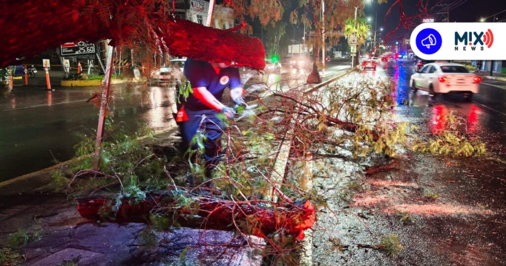 Recuento de los daños de la lluvia de anoche