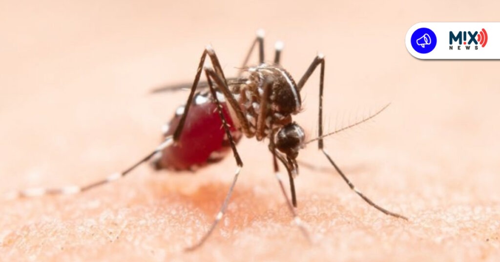 Advierten de complicaciones en la salud por recontagio de dengue