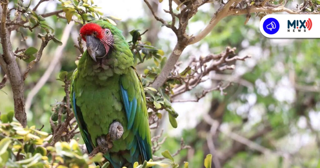 Resguarda el Parque Rodolfo Landeros casi 300 animales