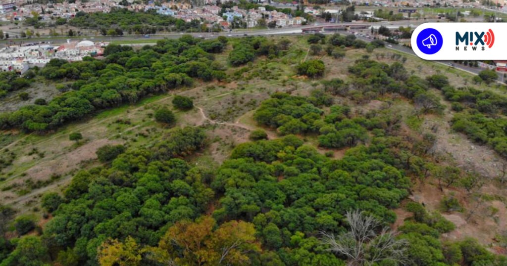 Buscan concluir negociación por La Pona antes del fin de año