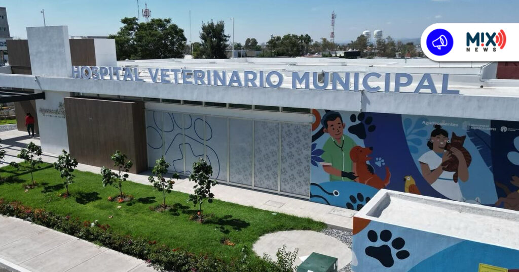 Hospital Veterinario Municipal se inaugurará el 3 de noviembre