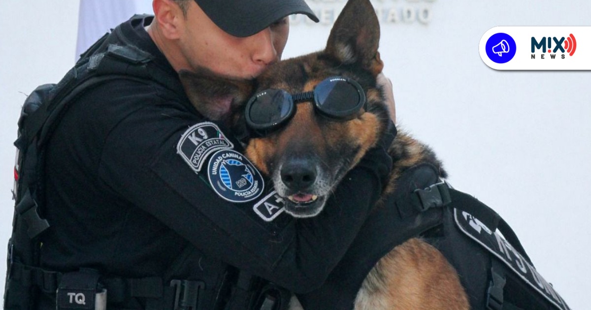 Con emotiva ceremonia se jubilan cinco ‘lomitos’ del Grupo K9