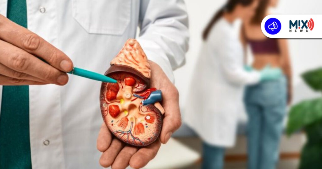 Buscan detectar males renales en estudiantes de secundaria