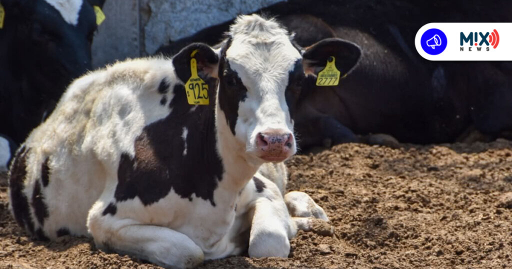 Aguascalientes apoya a productores de leche