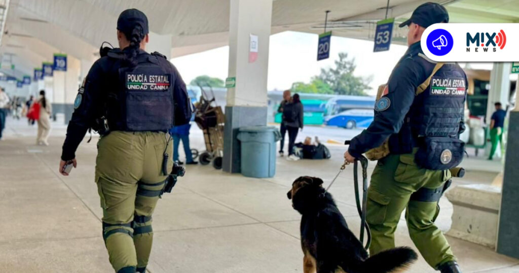 Aguascalientes refuerza vigilancia por temporada navideña