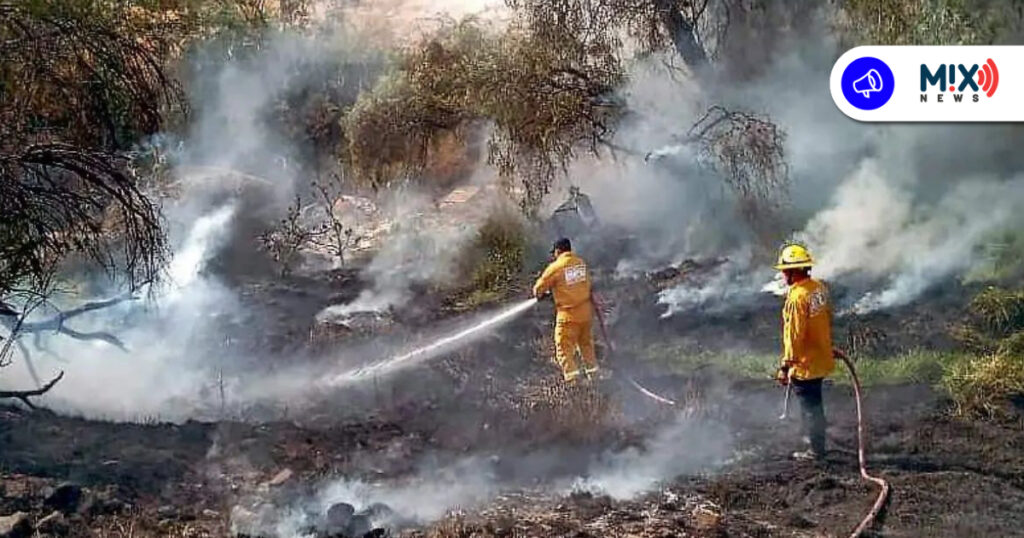 Hasta 10 incendios diarios por pasto seco atienden bomberos en Aguascalientes