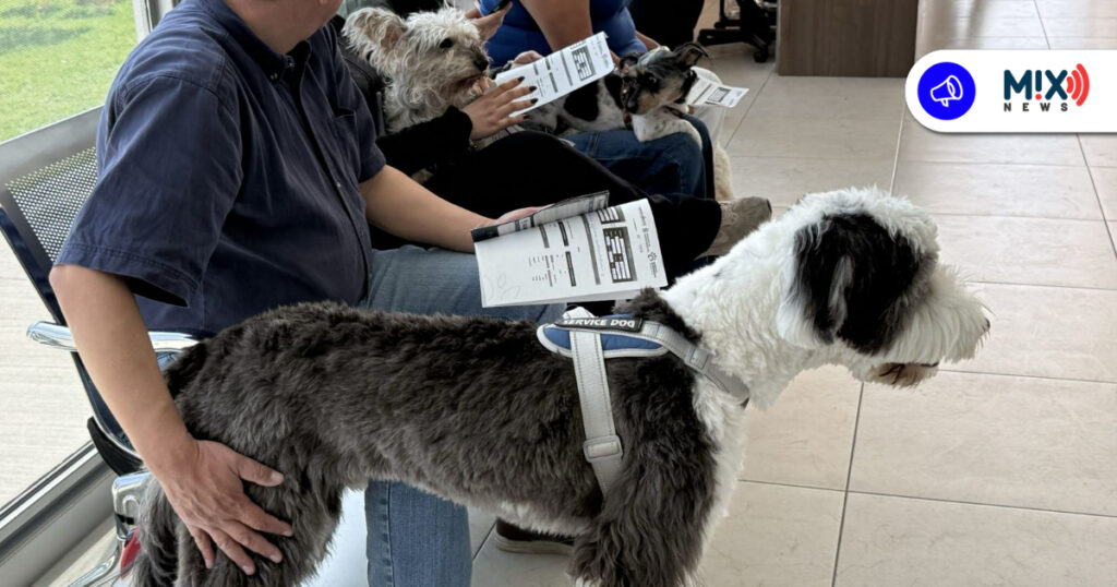 Más de 1,800 servicios a menos de dos meses de apertura del Hospital Veterinario Municipal