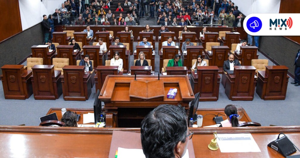 Por ‘falta de transparencia y autonomía’, cuestionan el proceso de elección en la CEDHA