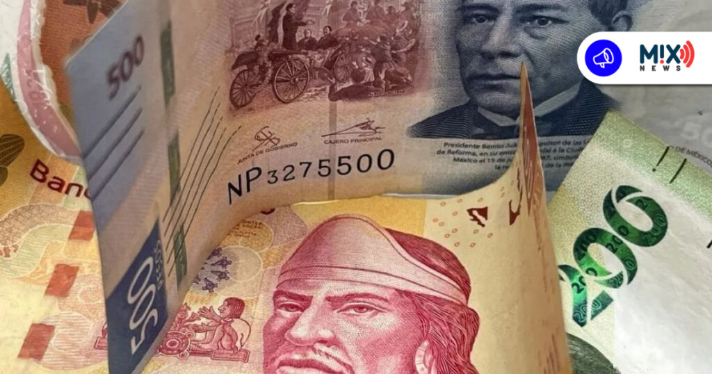 Alza al salario mínimo pone en riesgo la supervivencia de pequeñas empresas