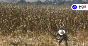 Reclaman productores el desmantelamiento del campo mexicano