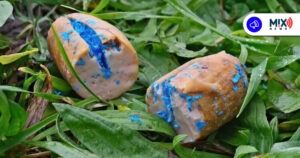 Siguen envenenando perros en Calvillo