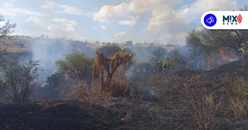 Denuncian incendios provocados en la microcuenca de El Malacate