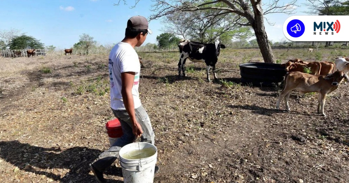 Delincuentes foráneos pegan en Aguascalientes