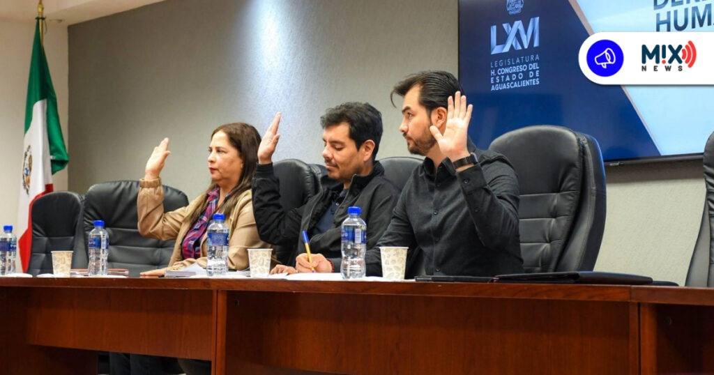 Abren convocatoria para renovar el Consejo Consultivo de Derechos Humanos