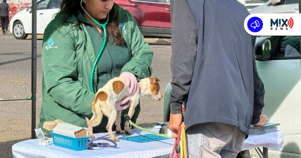 Protección Animal se eleva a prioridad oficial en Aguascalientes