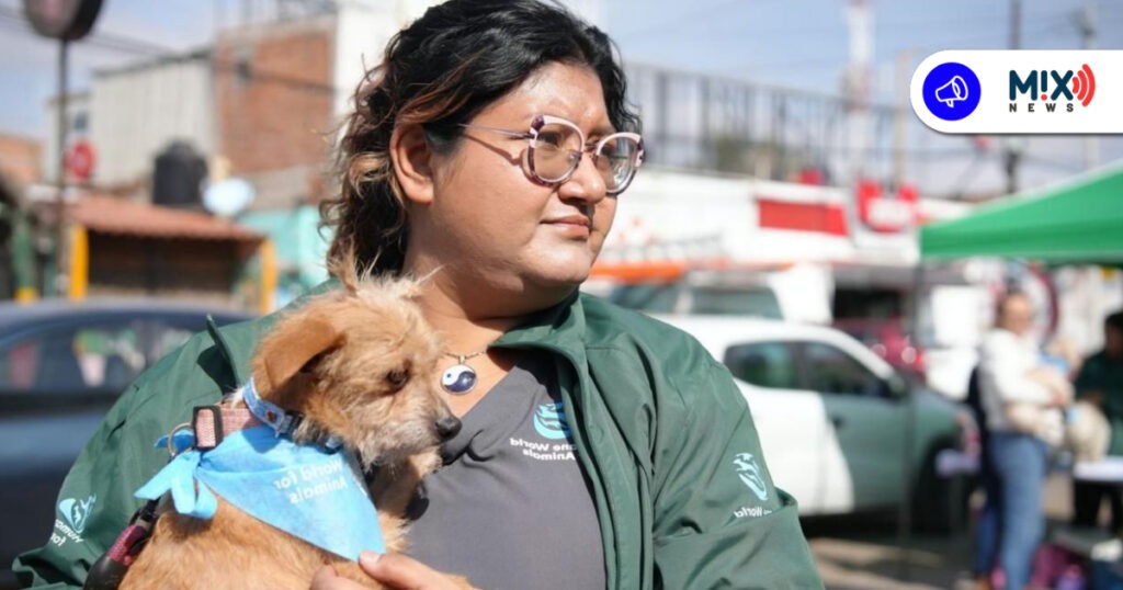 Salud animal gratuita en tu colonia: arranca Clínica Veterinaria Móvil 2026