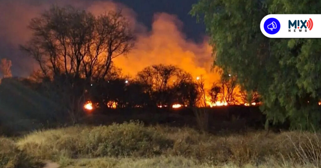 Incendios provocados en La Pona y Cobos