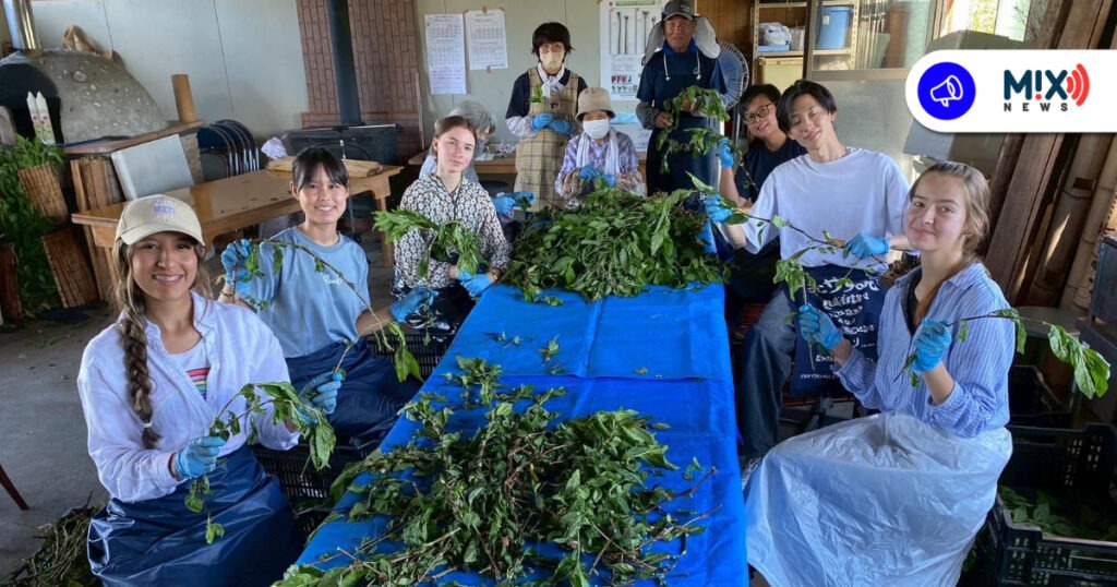 Aguascalientes lanza 500 becas para que jóvenes viajen al extranjero