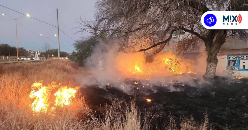 ​Suma Aguascalientes más de mil hectáreas siniestradas por incendios de pasto