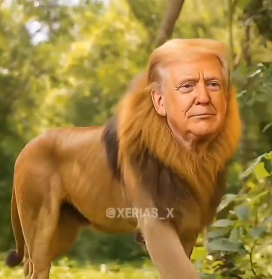 Trump cruza otra línea: del discurso incendiario al insulto disfrazado de “humor”