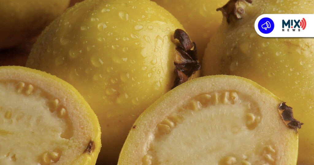 La guayaba de Calvillo obtiene el sello de Indicación Geográfica