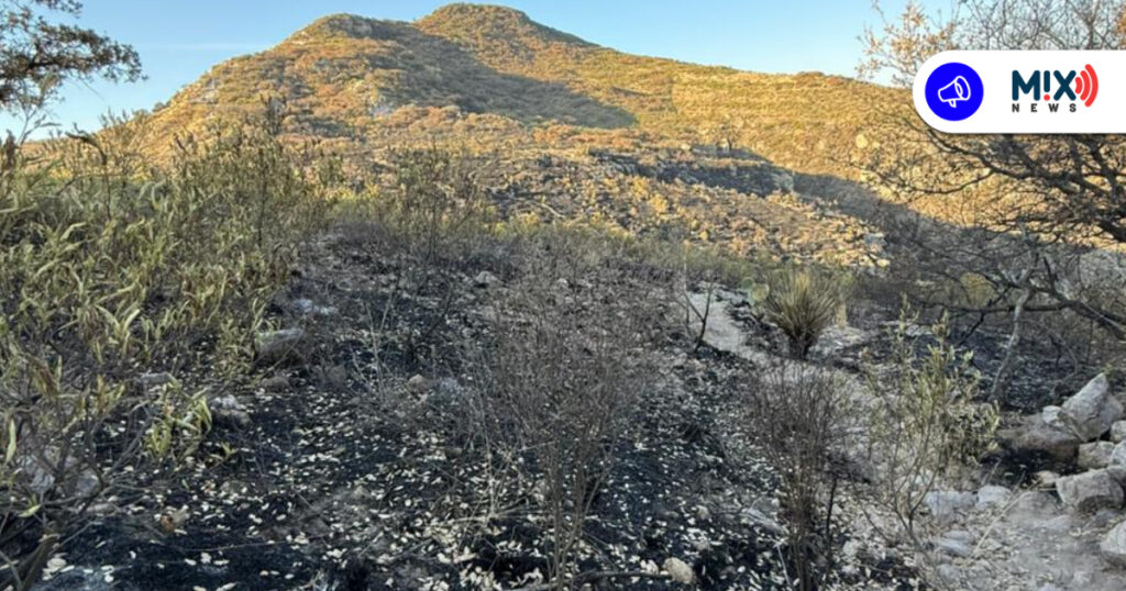 Dueños del Cerro del Picacho podrían prohibir el acceso ante incendios provocados