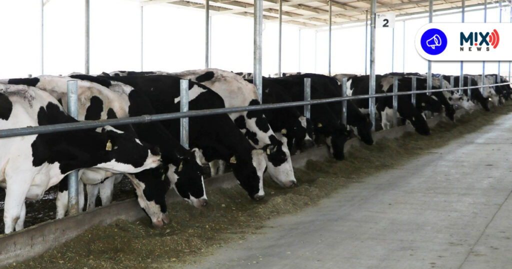 Proyectan derrama superior a los mil millones para productores lecheros de Aguascalientes