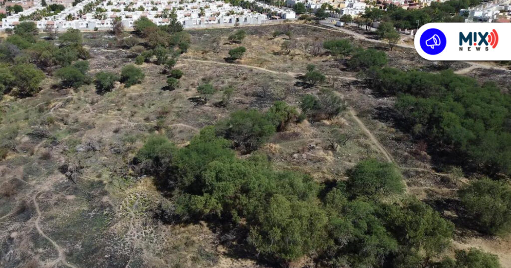 Avanza negociación para adquirir La Pona; prevé municipio inversión cercana a 100 mdp