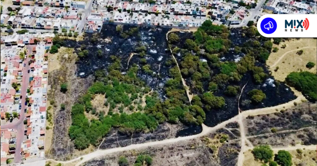 Avanza proyecto para proteger La Pona como área natural: SEMADESU