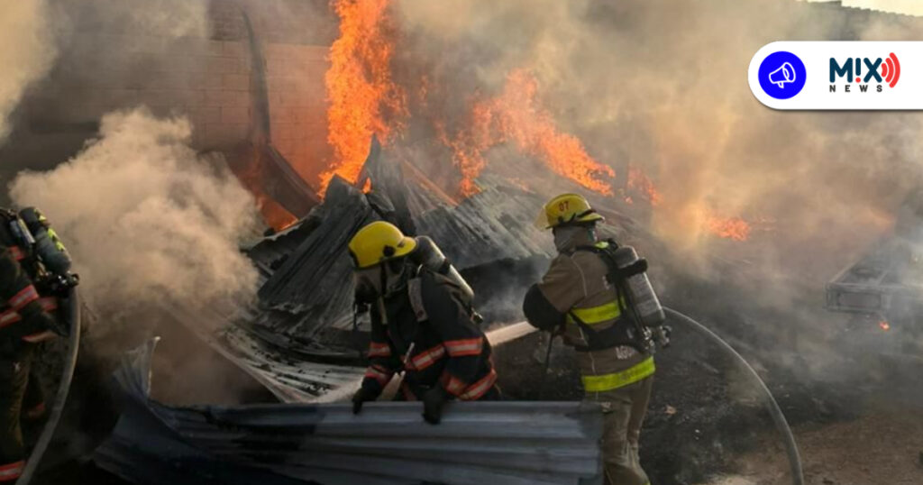 Rescatan a dos lomitos durante incendio en fábrica de tarimas