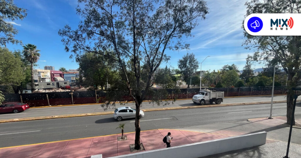 Reubicarán árboles por obras en Colosio; descartan tala y garantizan conservación