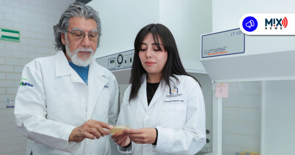 El pulque como cura, UAA descifra bacteria que revolucionaría la medicina