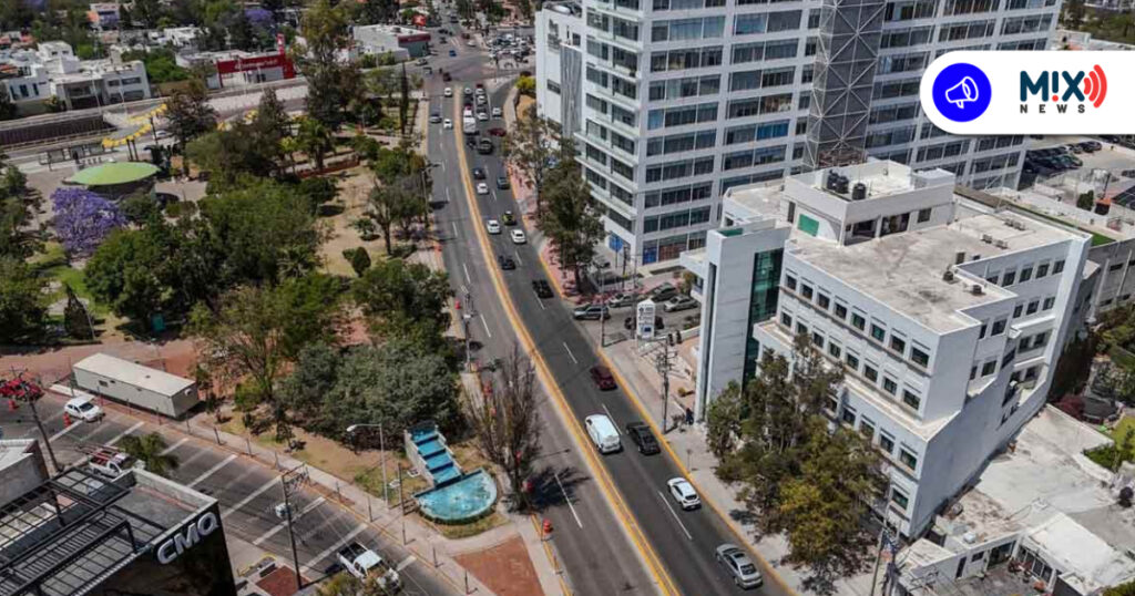 Descartan solicitudes para derribo de árboles en Colosio