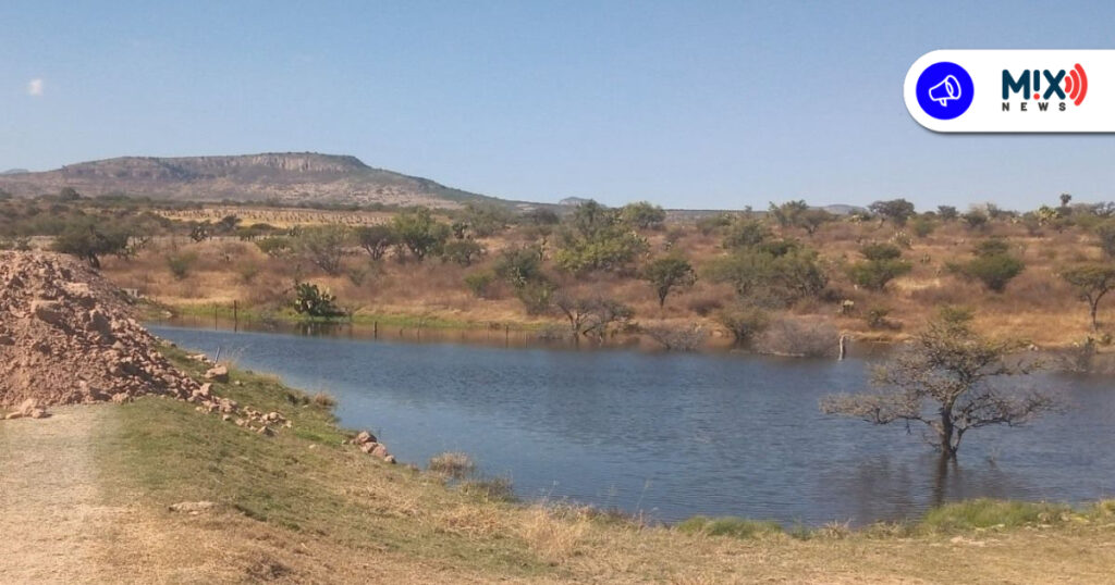 Agotan bordos su capacidad en Aguascalientes