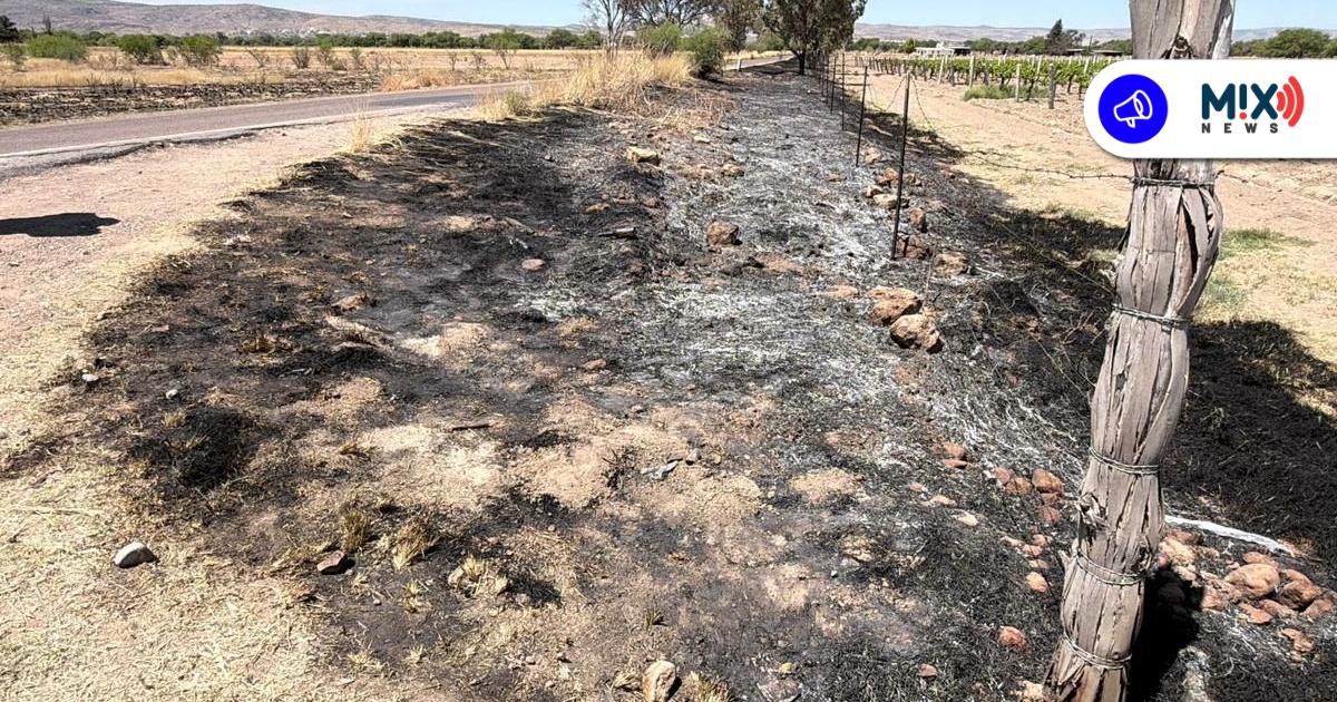 Investiga Fiscalía hallazgo de cuerpos en Cosío; uno sería originario de Zacatecas