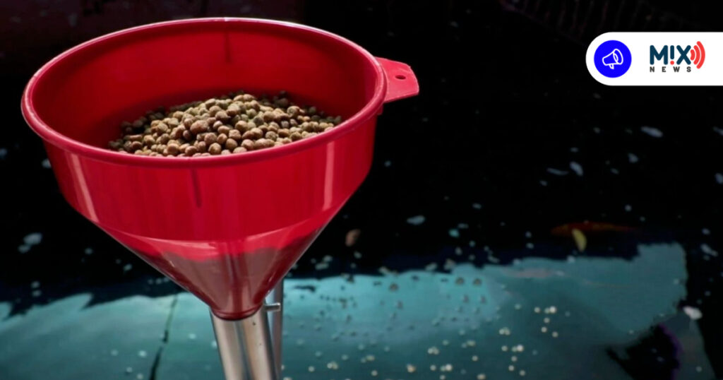 UAA logró patente con innovador alimentador para el sector acuícola