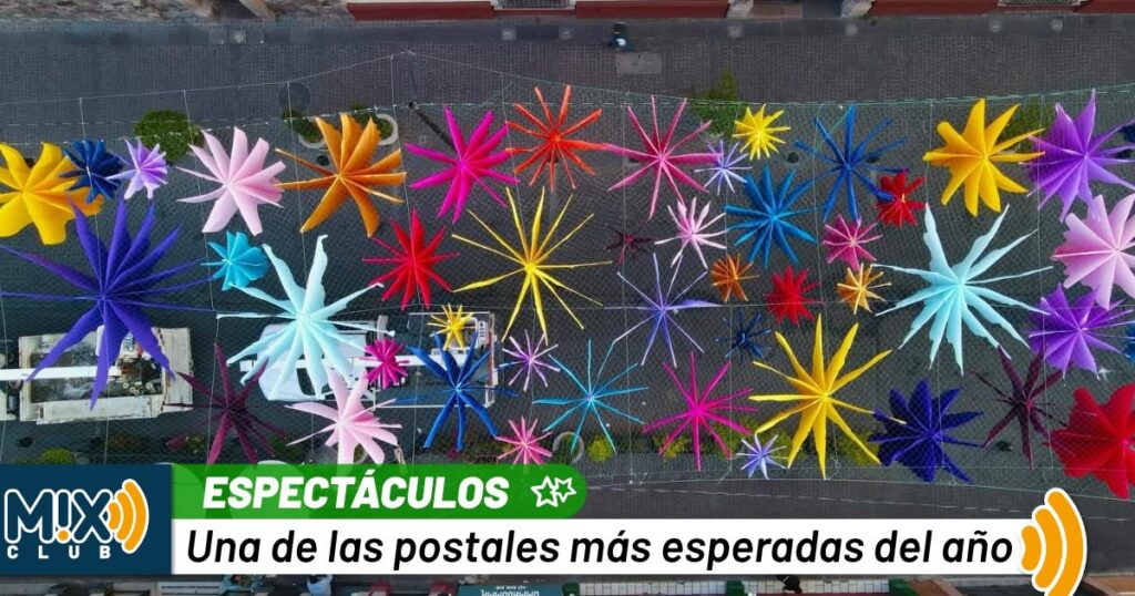 Carranza se prepara para su gran metamorfosis: comienza a levantarse el bosque floral que marcará la temporada de feria